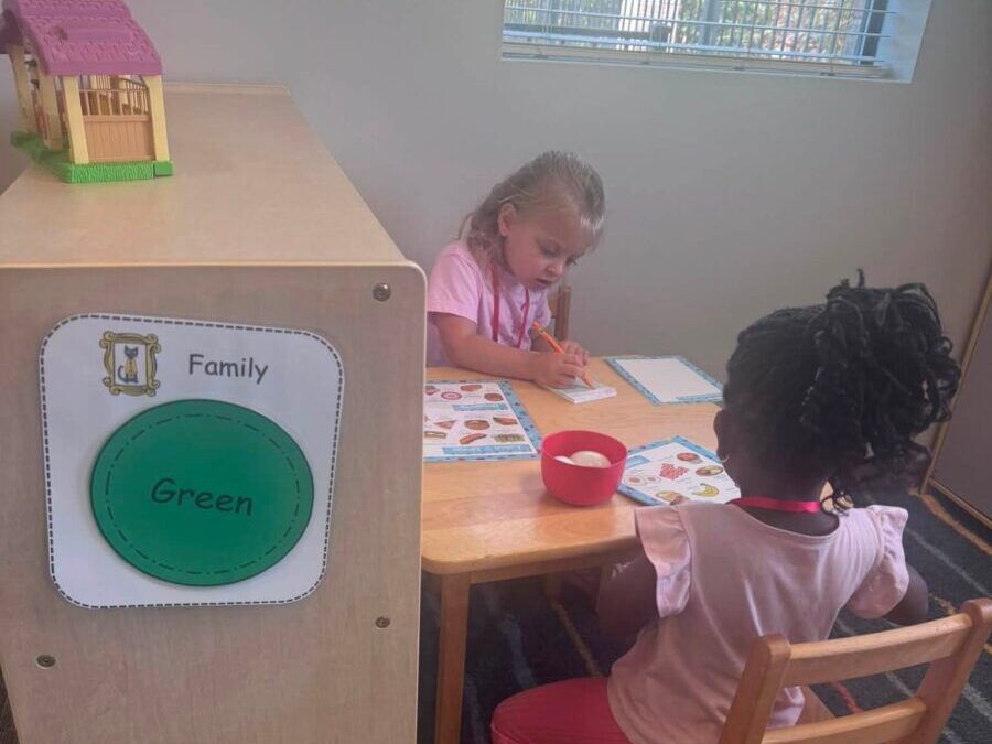 Preschooler Preschooler